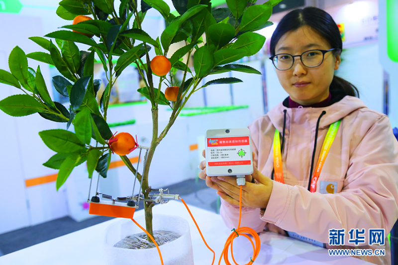 植物本體傳感器產(chǎn)品