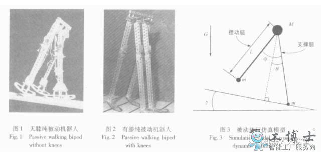 機(jī)器人日行十萬步卻無需動力源 完美的機(jī)械結(jié)構(gòu)讓你開始懷疑人生