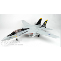 艾特——F-14噴氣模型像