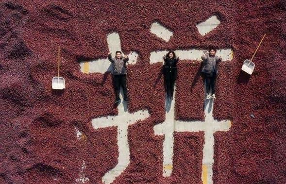 智慧農(nóng)業(yè)