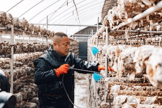 智慧農(nóng)業(yè)