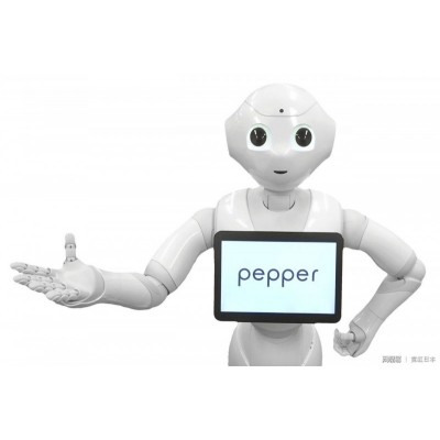 pepper——人形機(jī)器人