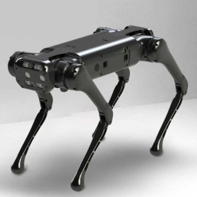 Aliengo