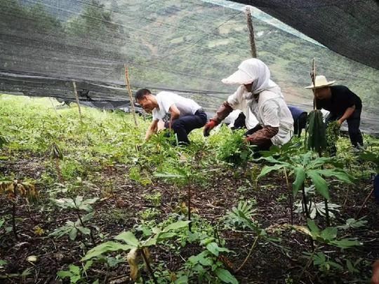 智慧農(nóng)業(yè)