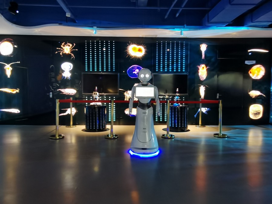 展廳機器人